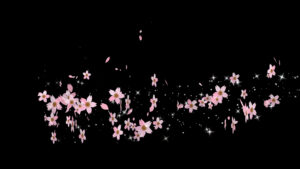 四季【春の桜】回転 動画素材