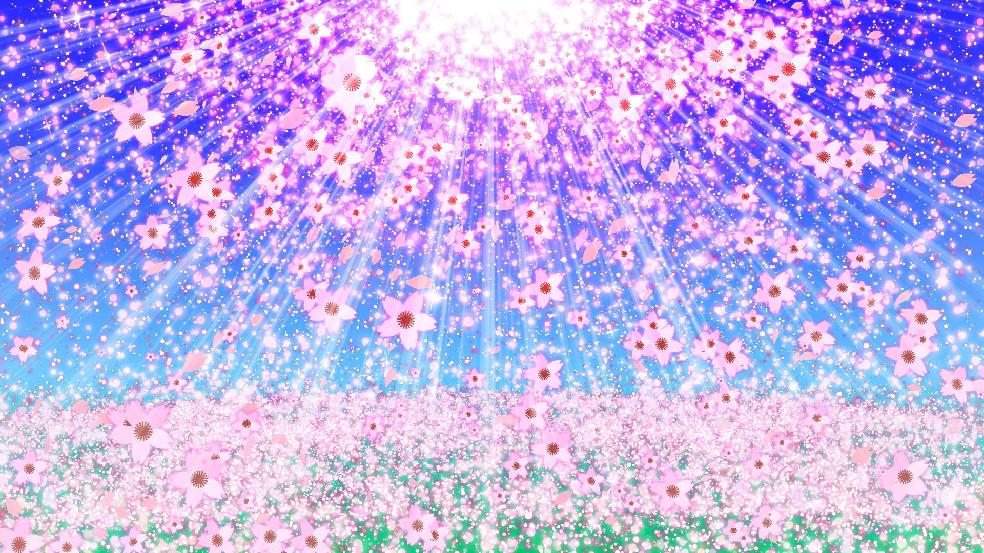桜と空の光（春）背景用  動画素材