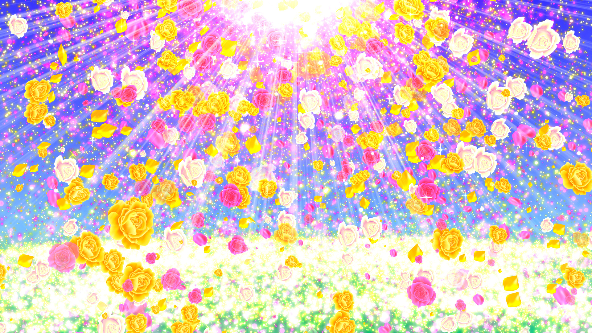 カラフルなバラと空の光（春）背景用  動画素材
