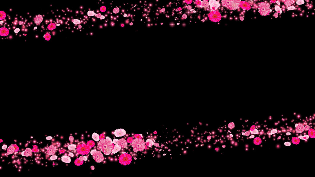 ピンクのガーベラ フレーム - 合成用
