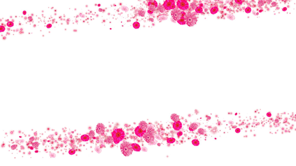 ピンクのガーベラ フレーム - 合成用-白い背景