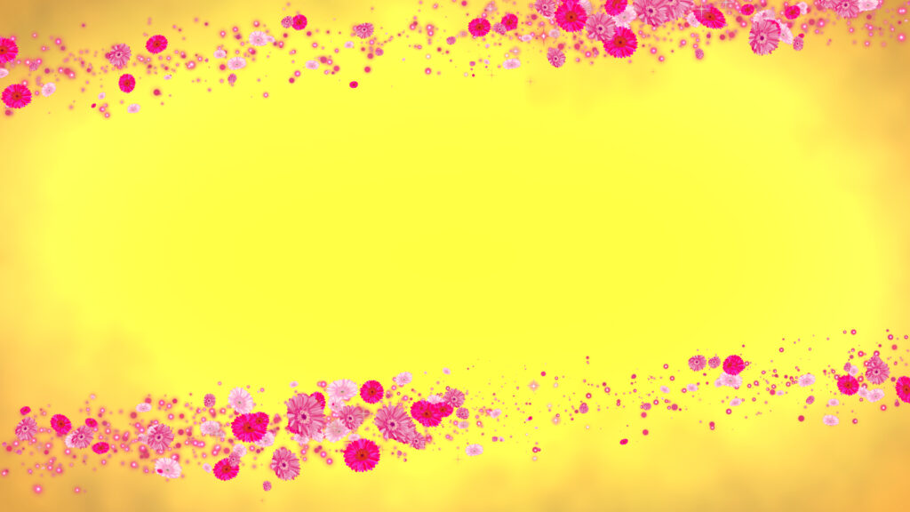 ピンクのガーベラ フレーム - 合成用-黄色い背景