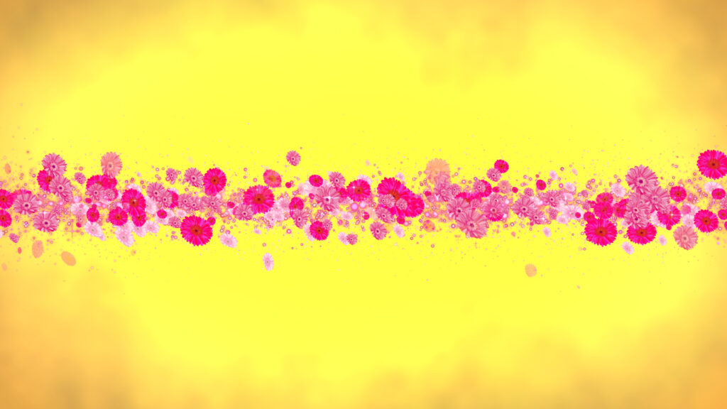 ピンクのガーベラ タイトル - 合成用-黄色い背景