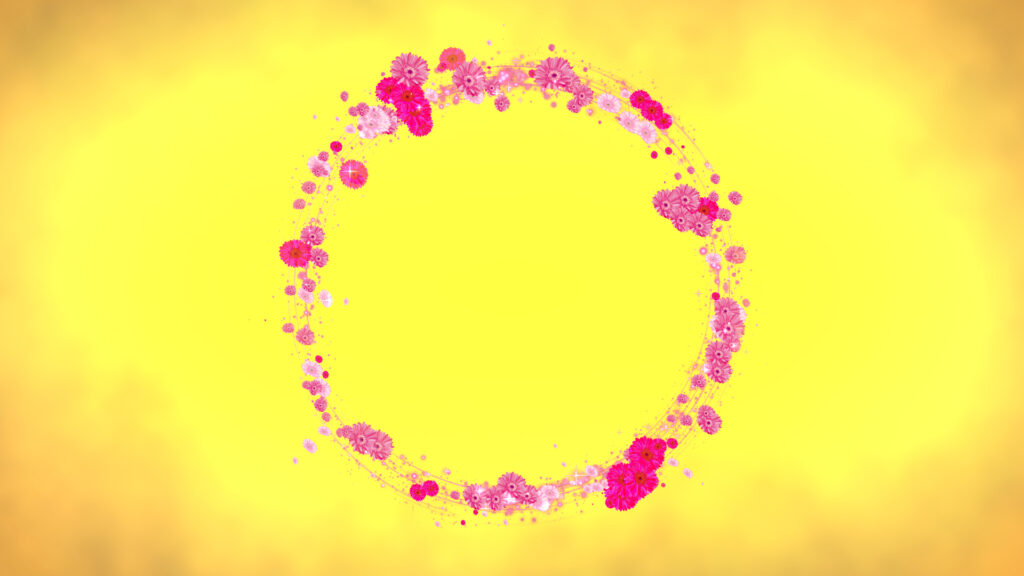 光るピンクのガーベラ リース - 合成用-黄色い背景