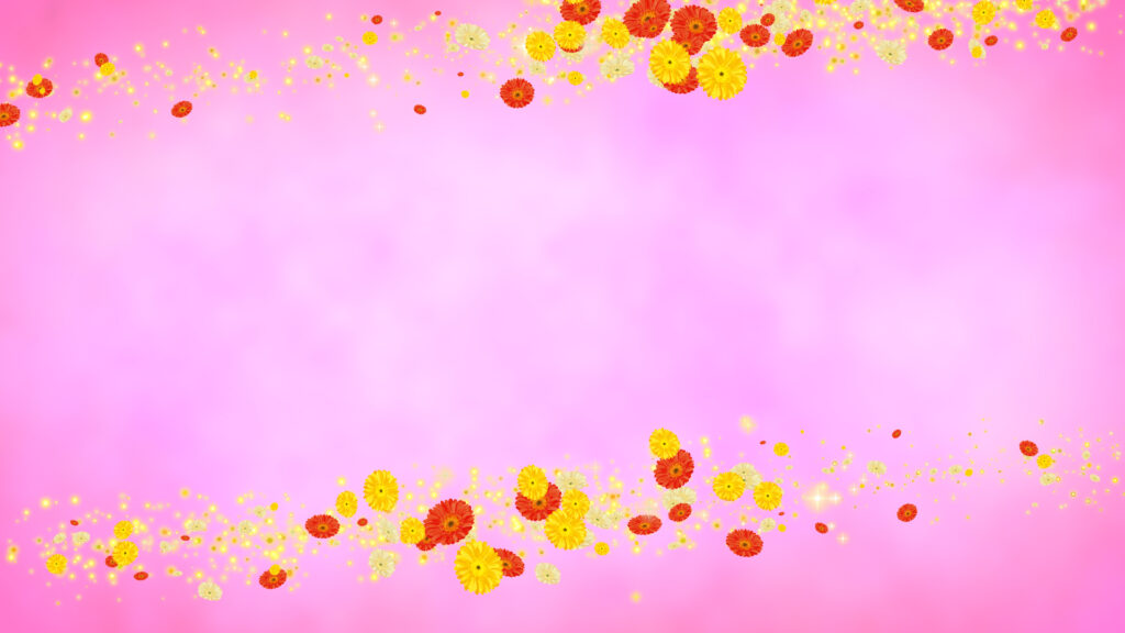 黄色いガーベラ フレーム - 合成用-ピンクの背景