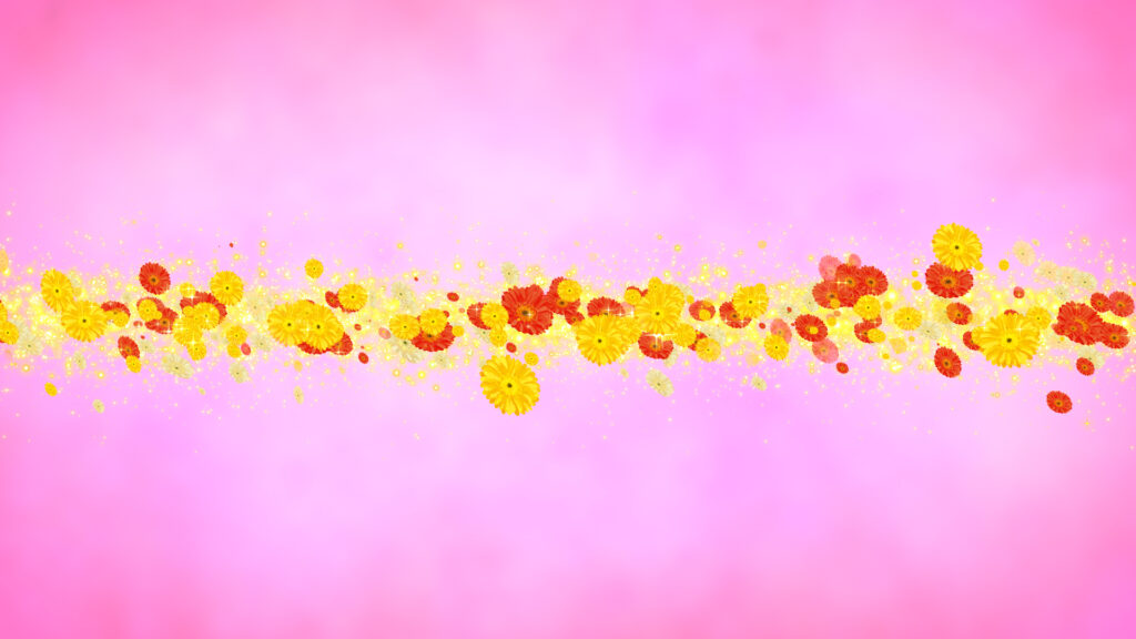 黄色いガーベラ タイトル - 合成用-ピンクの背景